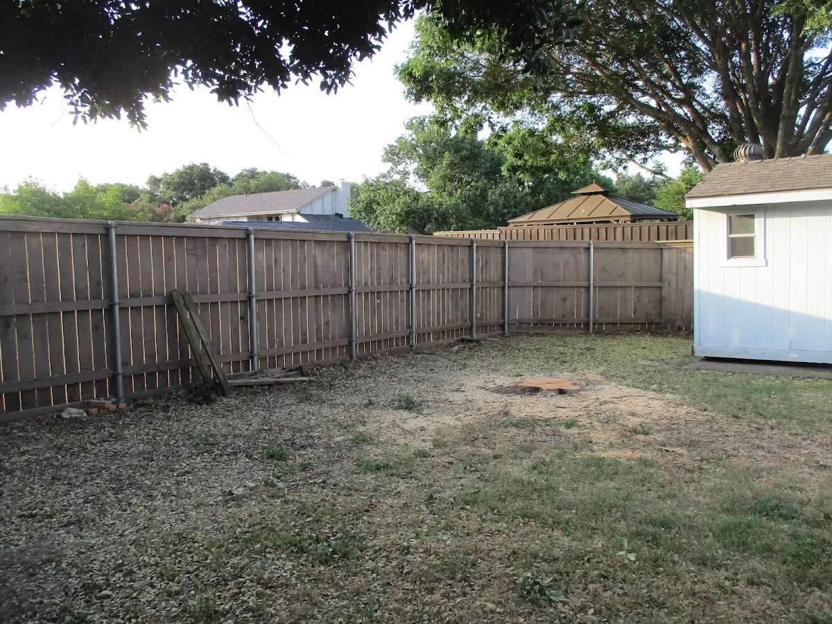 Cleared yard after professional tree removal in Thousand Island Park
