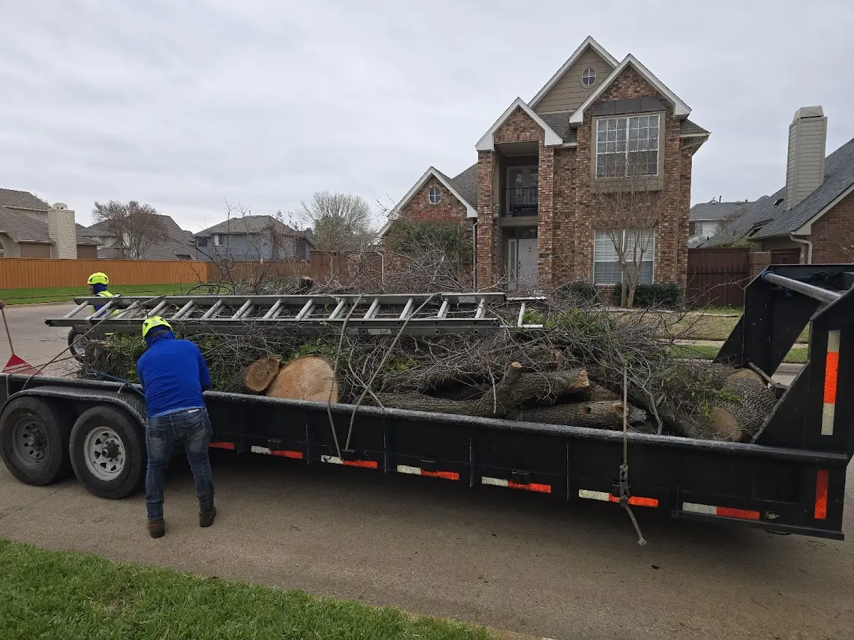 Expert Tree Fertilization with proper safety equipment in Thousand Island Park